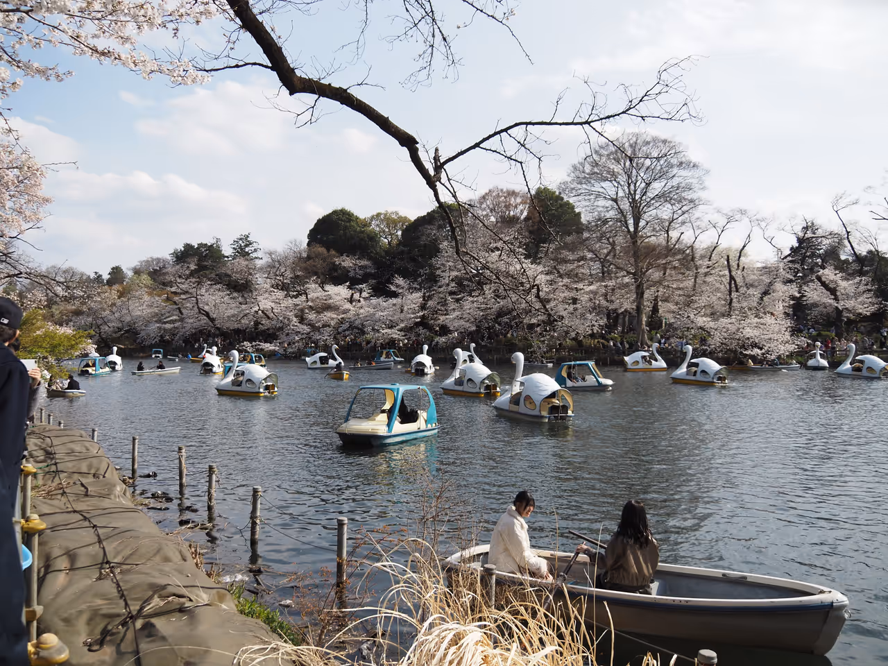 Inokashira park in Tokyo