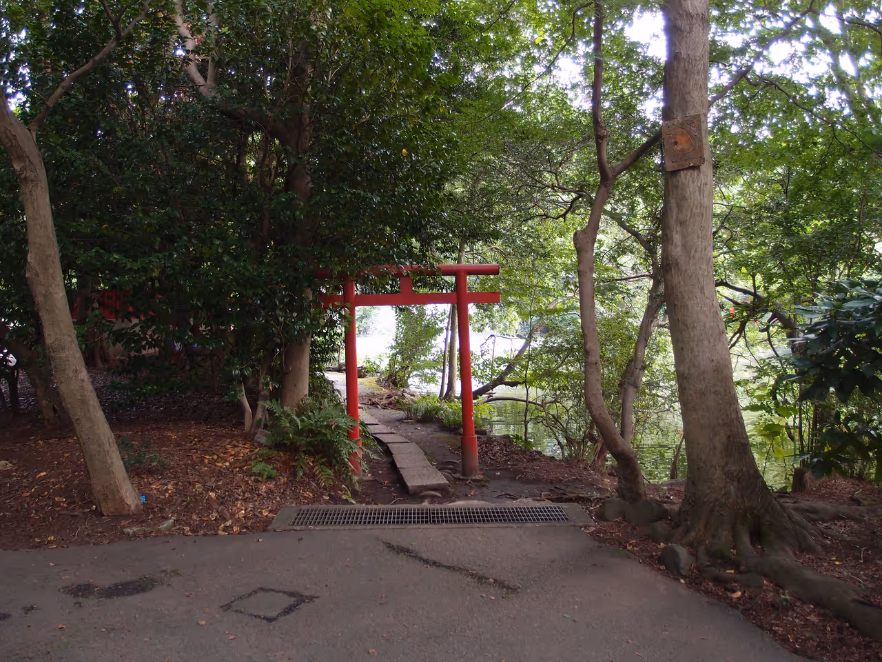Inokashira park in Tokyo