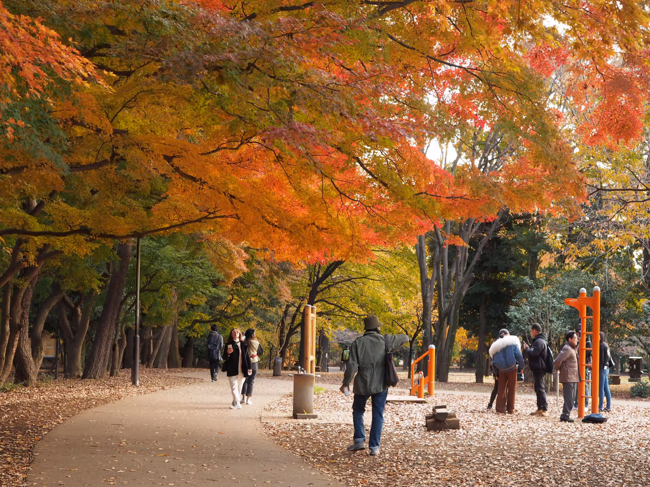 Inokashira park in Tokyo