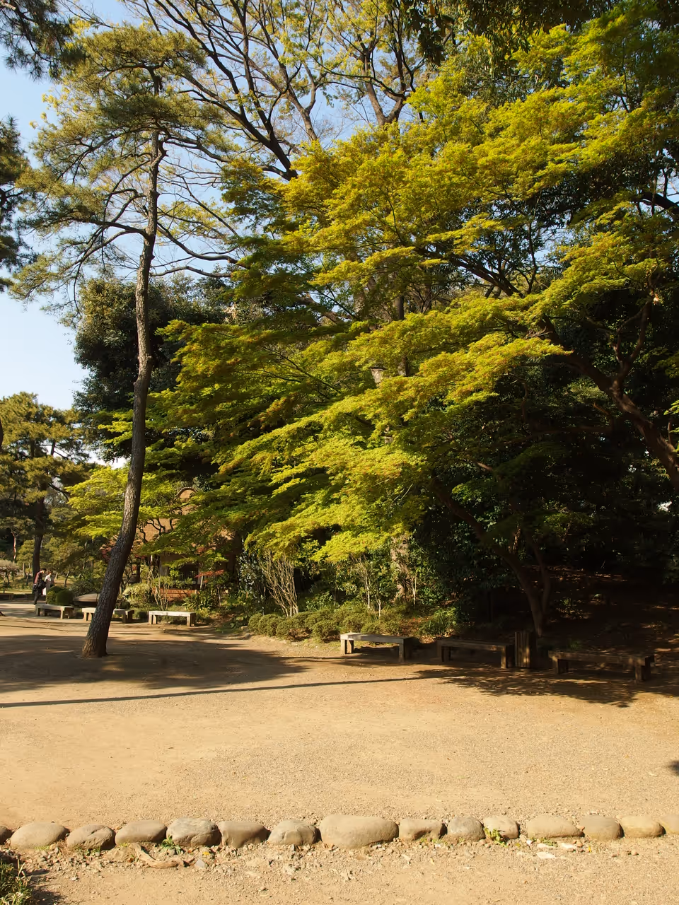 Koishikawa korakuen in Tokyo