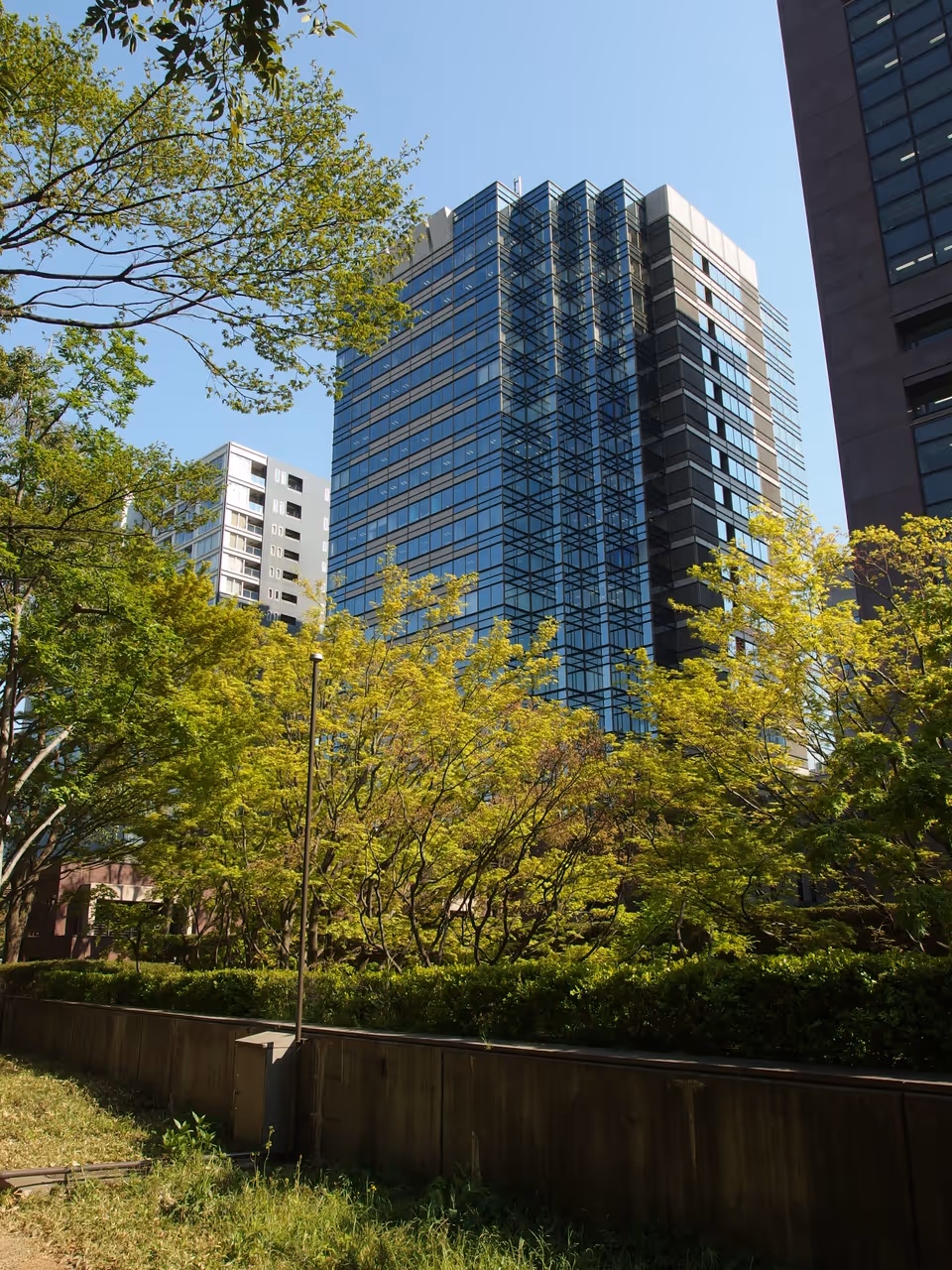 Koishikawa korakuen in Tokyo