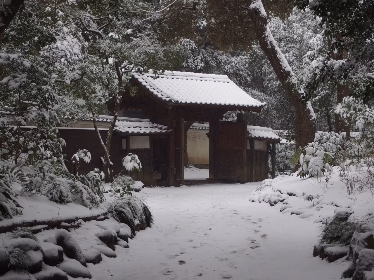 Gate covered in snow in Koishikawa korakuen