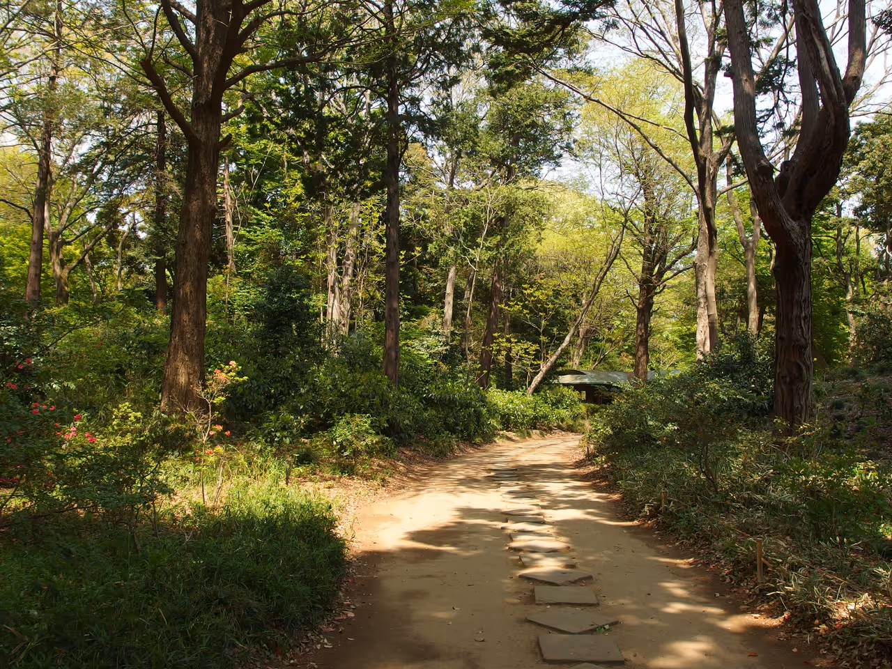 Rikugien gardens in Tokyo