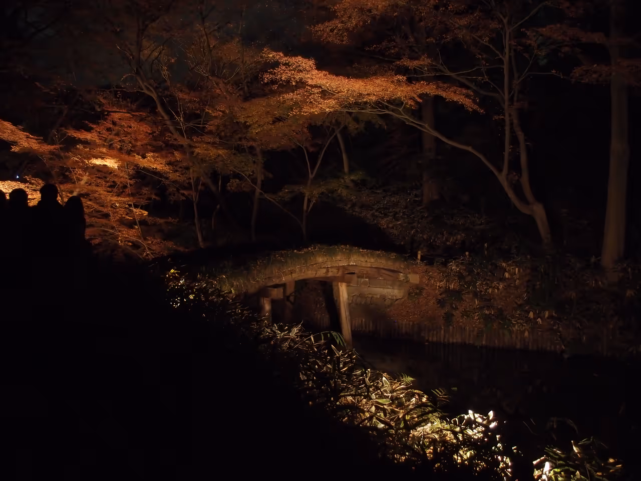Rikugien gardens at night