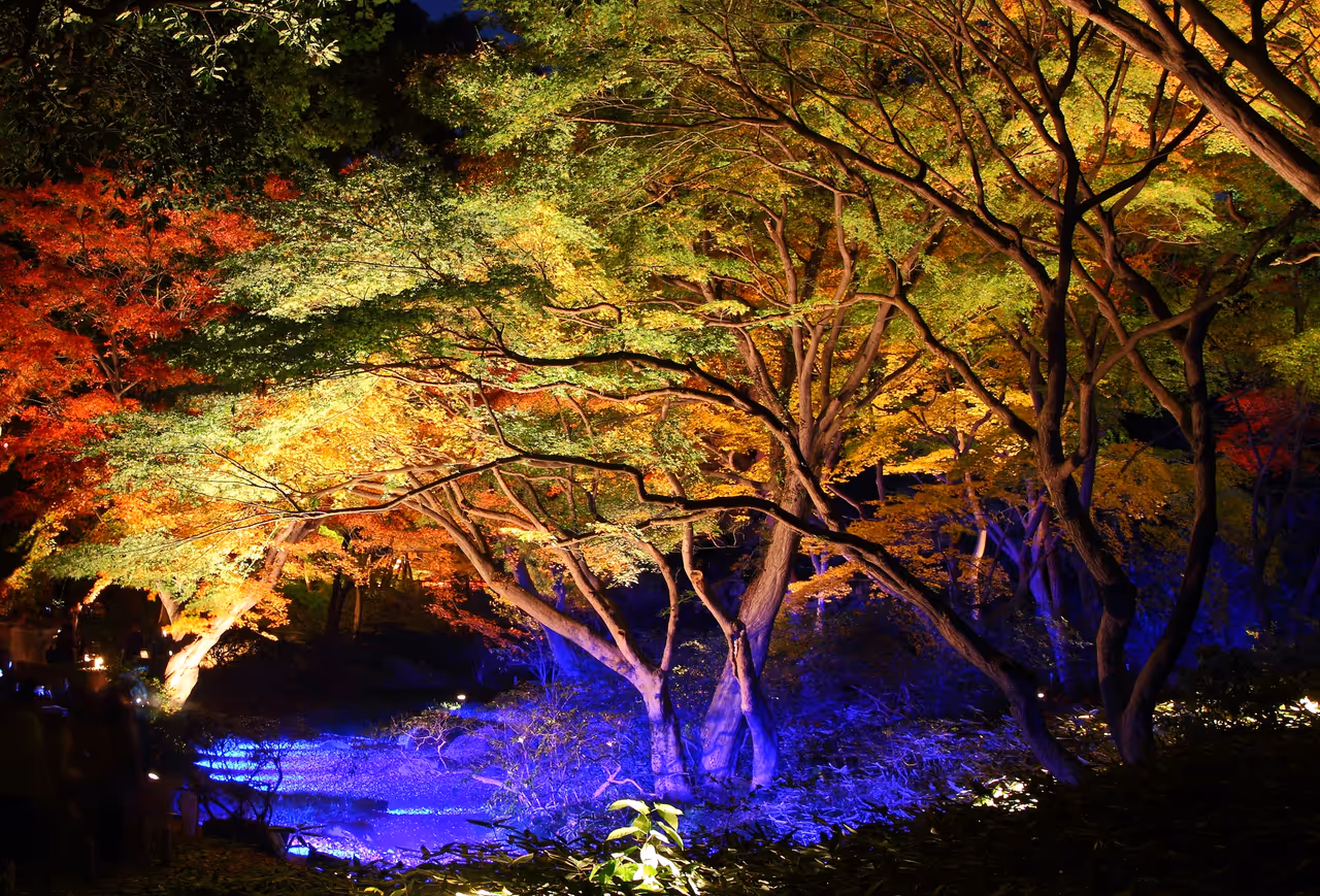 Rikugien gardens in Tokyo