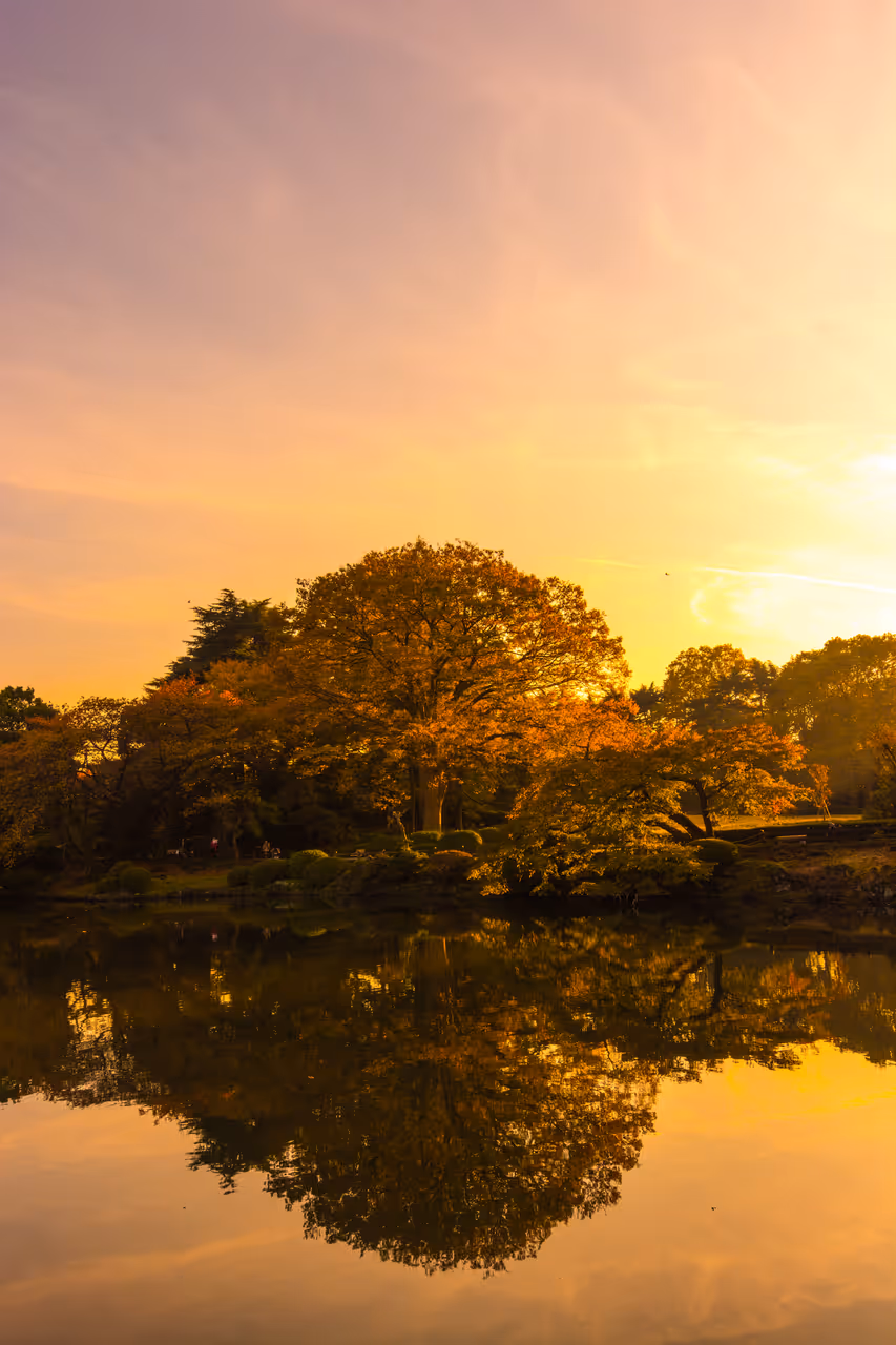 Shinjuku gyoen national garden in Tokyo
