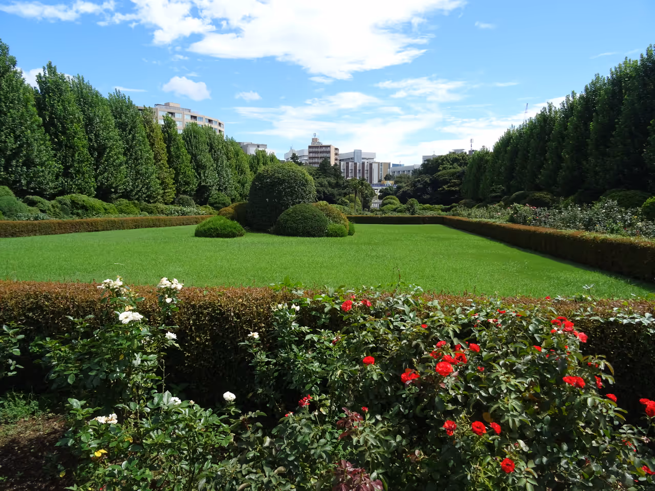 Shinjuku gyoen national garden in Tokyo