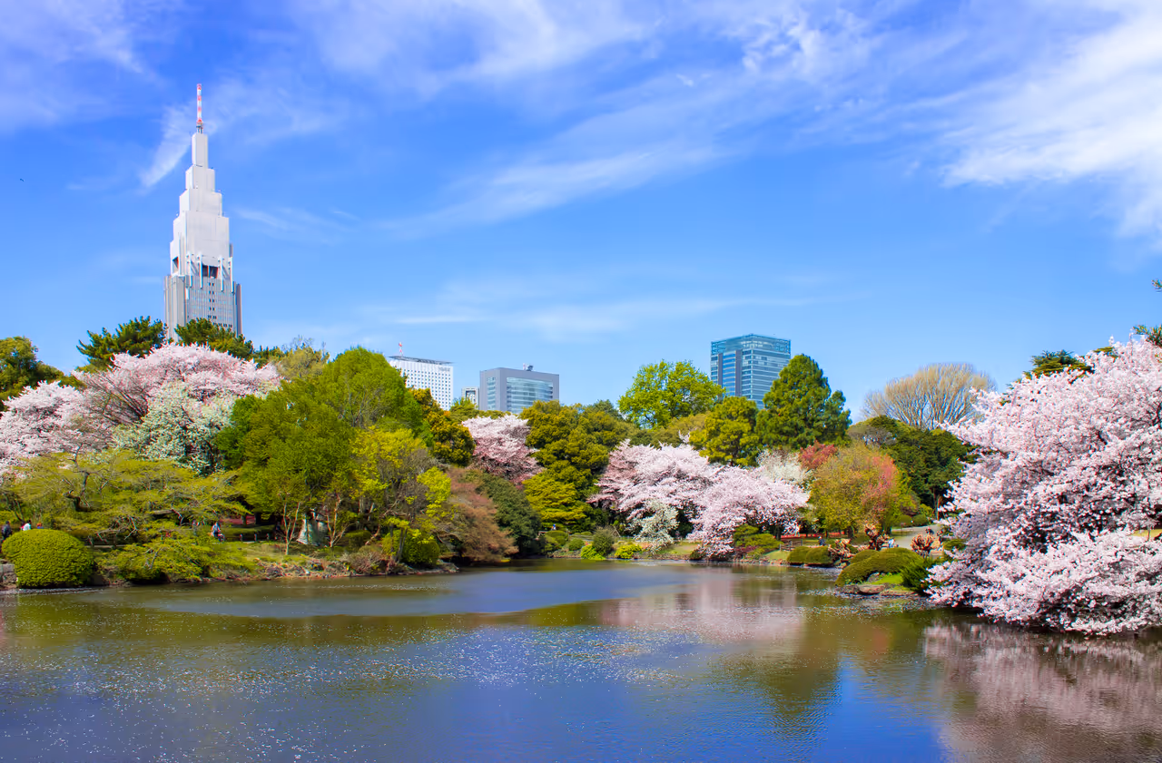 Shinjuku gyoen national garden in Tokyo