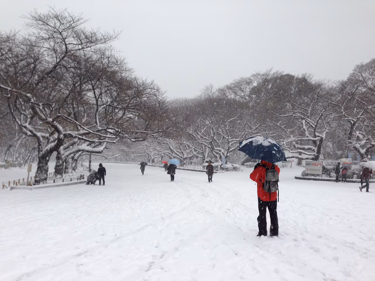 Ueno park in Tokyo