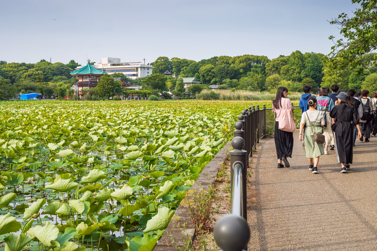 Ueno park in Tokyo