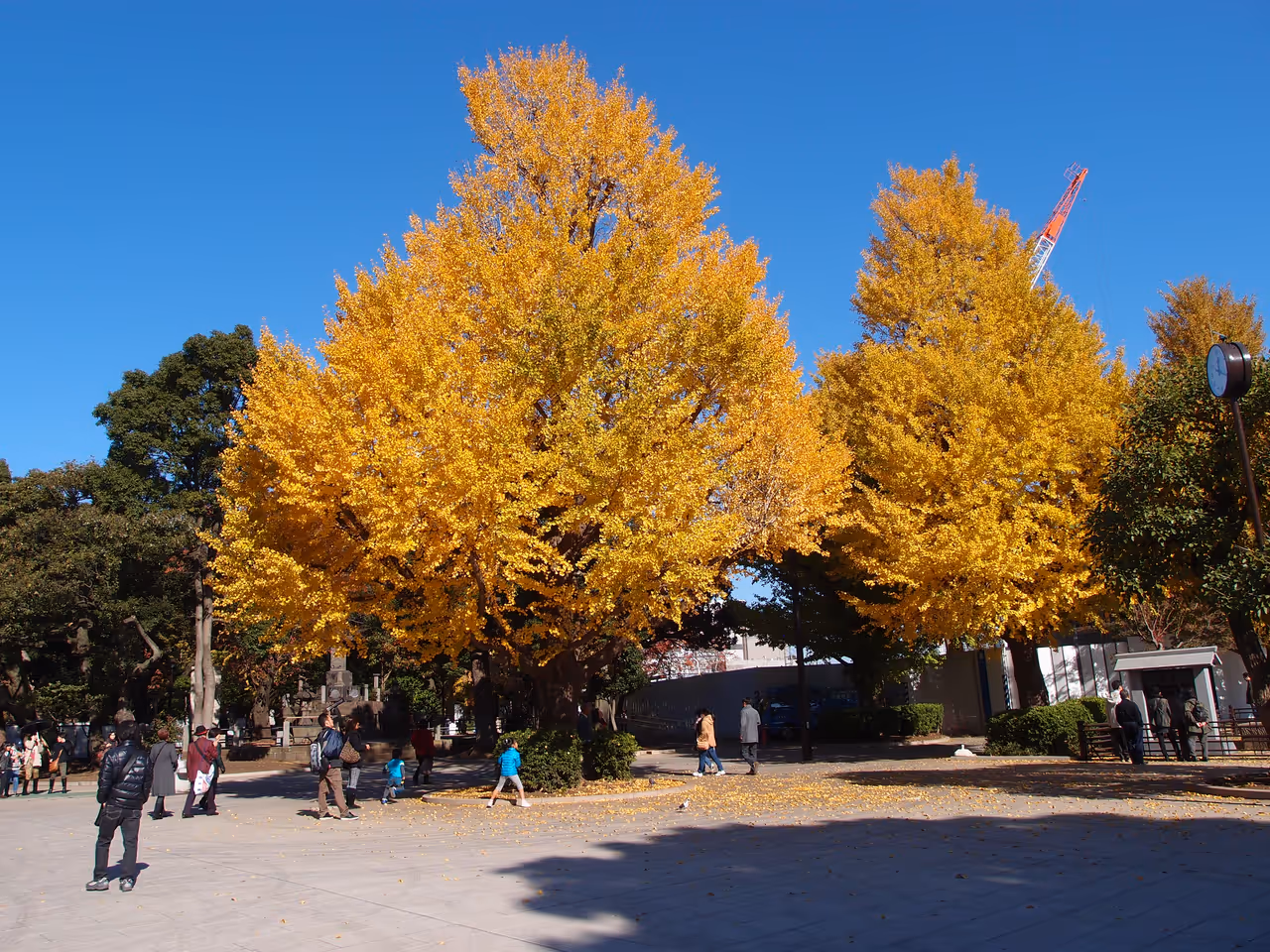 Ueno park in Tokyo