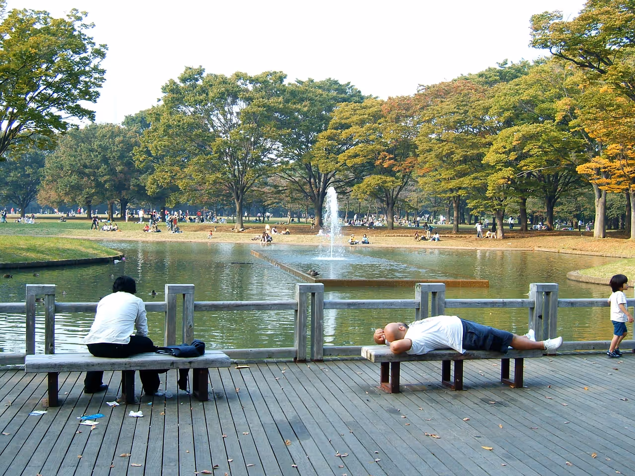 Yoyogi park in Tokyo
