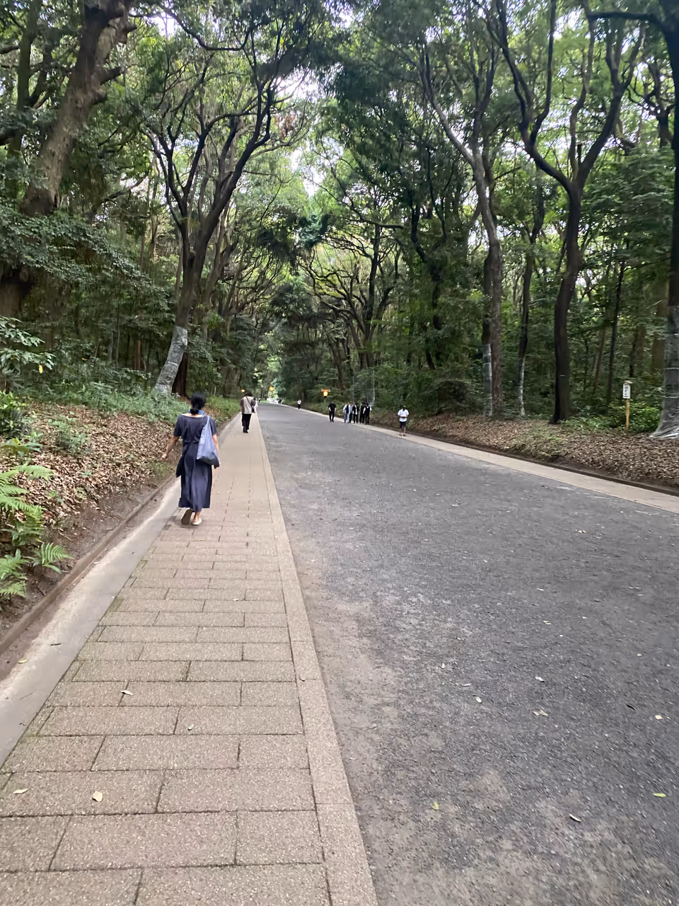 Yoyogi park in Tokyo