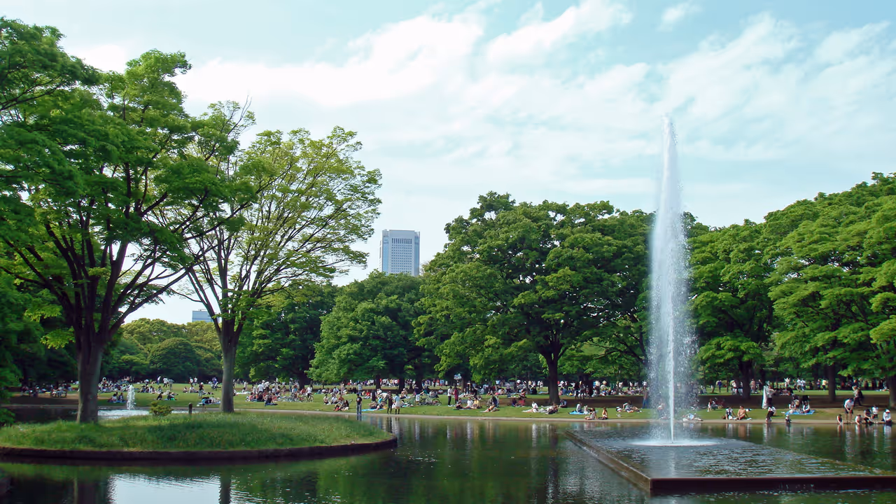 Yoyogi park in Tokyo