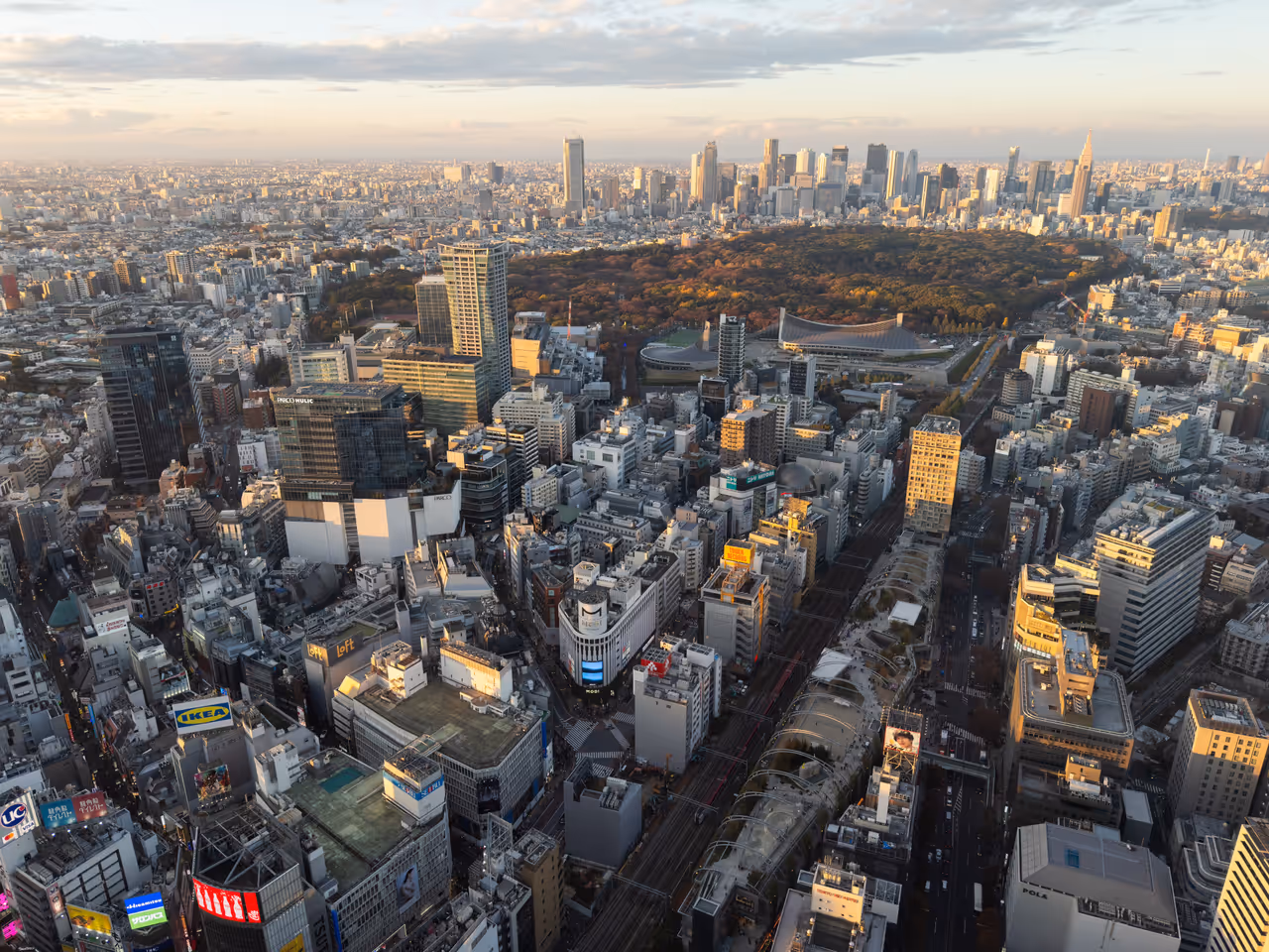 Yoyogi park from bird's eye view