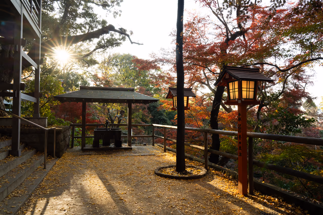 Autumn highlight in Tokyo