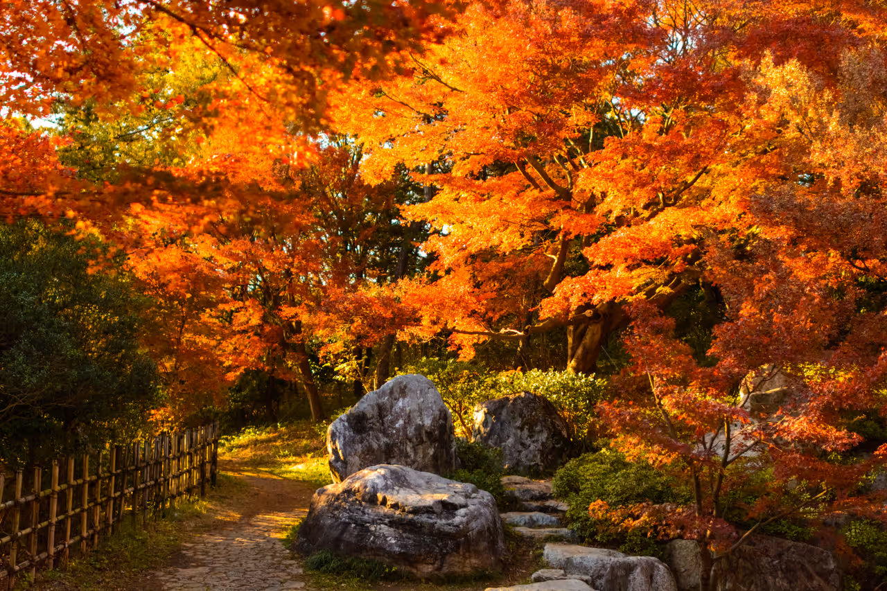 Autumn highlight in Tokyo