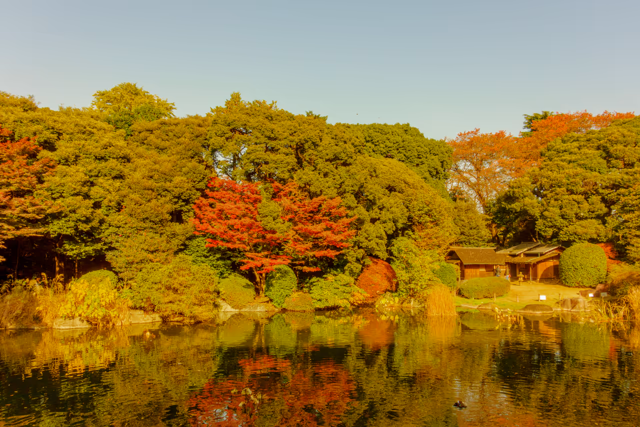 Autumn highlight in Tokyo
