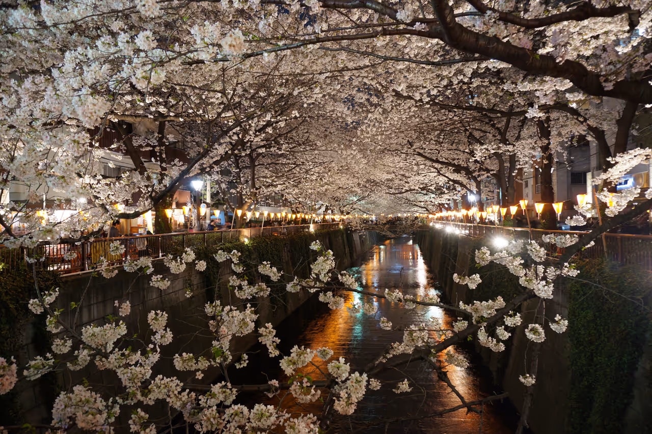 Spring highlight in Tokyo