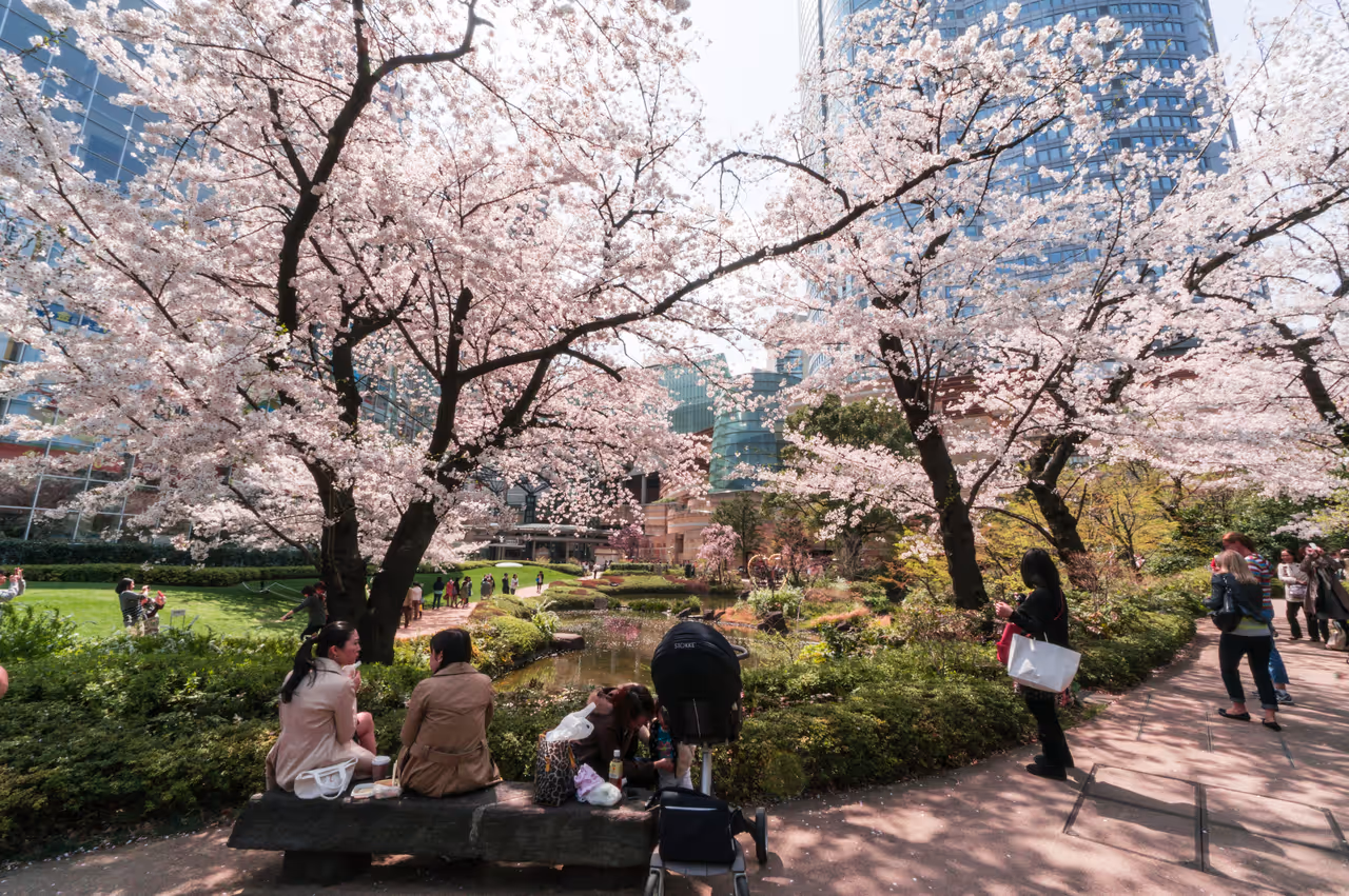 Spring highlight in Tokyo