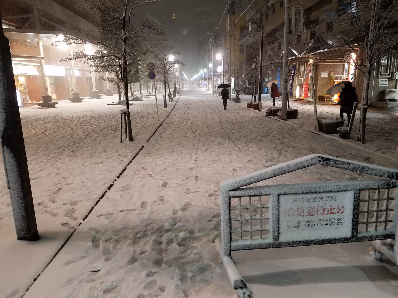 Winter highlight in Tokyo