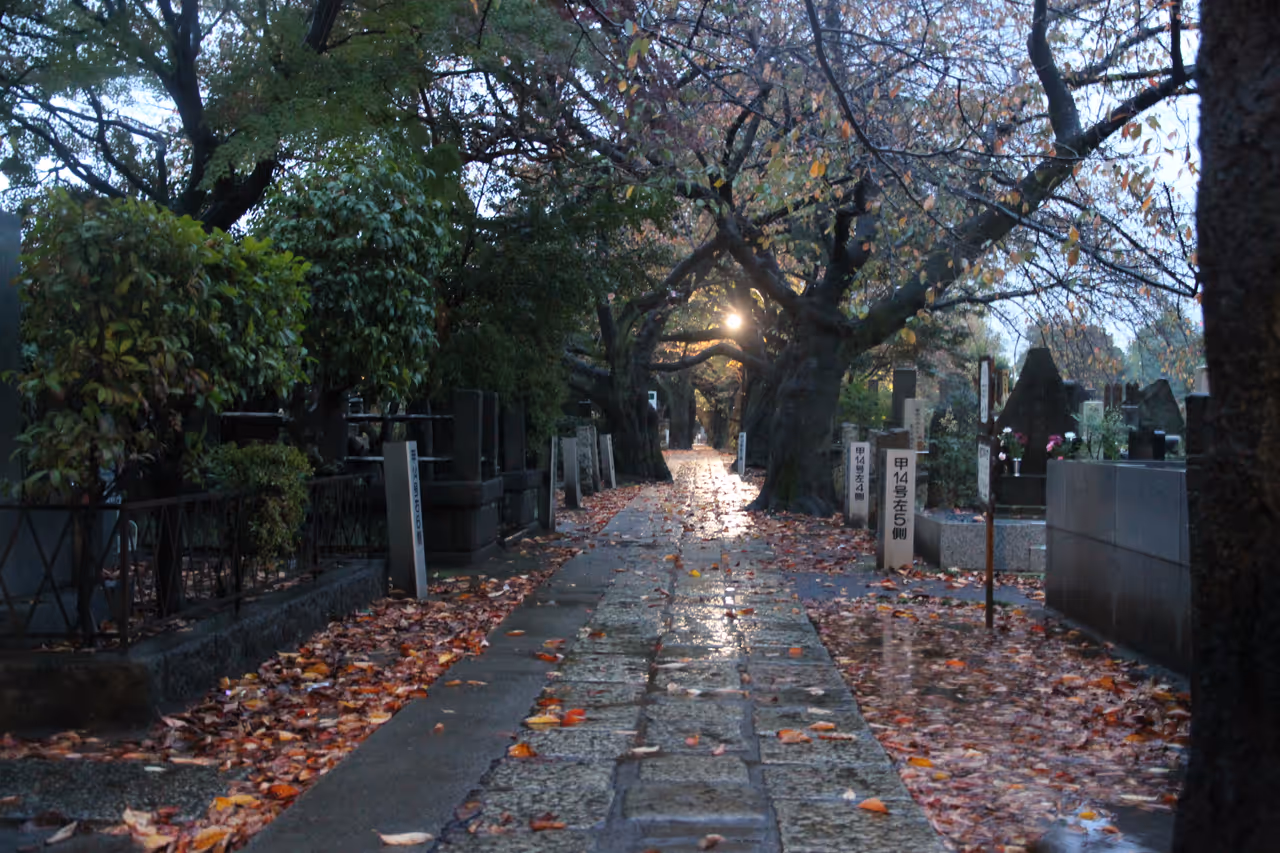 Yanaka neighbourhood stroll stroll in Tokyo