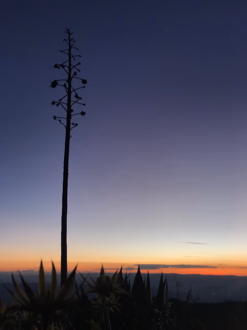 Hiking in the sierra norte in Oaxaca city