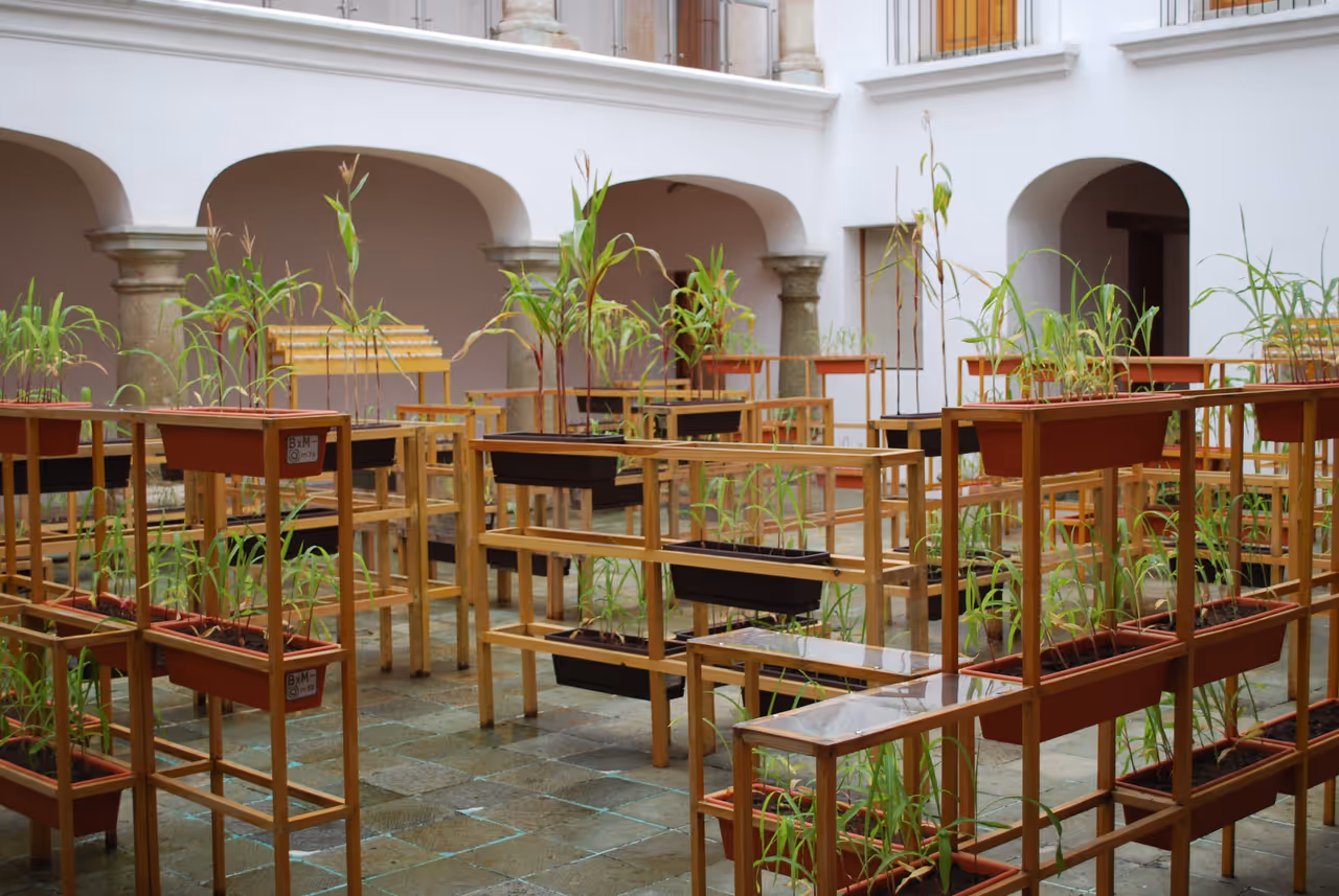 House of cortés (maco) in Oaxaca city