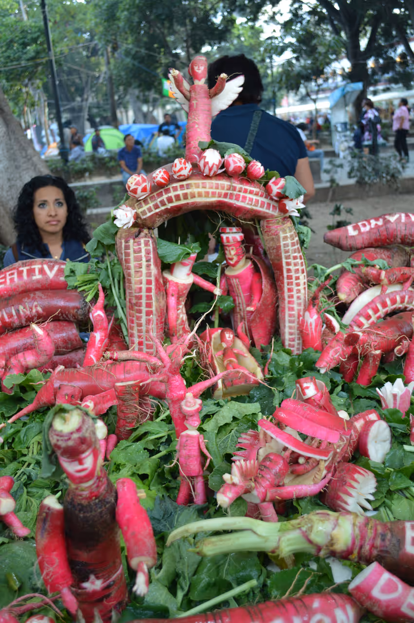 Night of the radishes festival in Oaxaca city