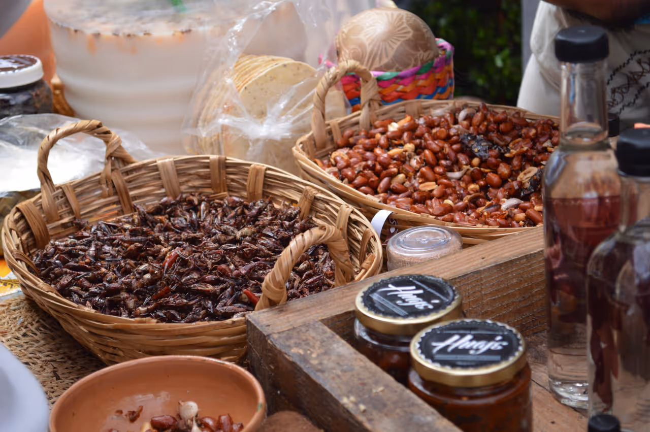 Toasted grasshoppers food in Oaxaca city