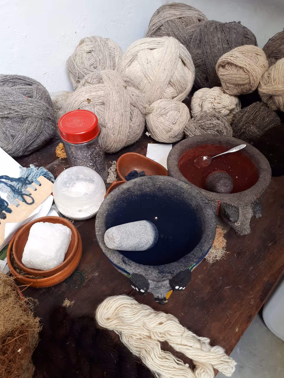 Cochineal bug museum in Oaxaca city