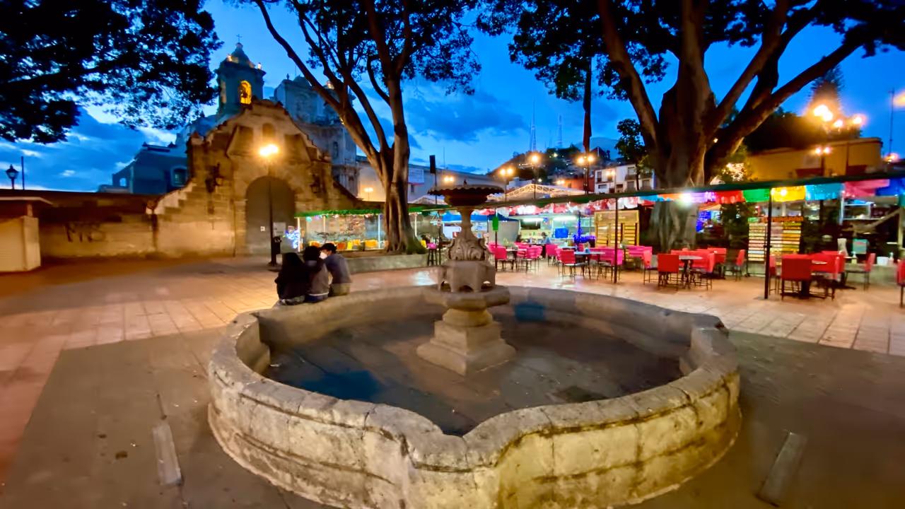 Socrates garden in Oaxaca city