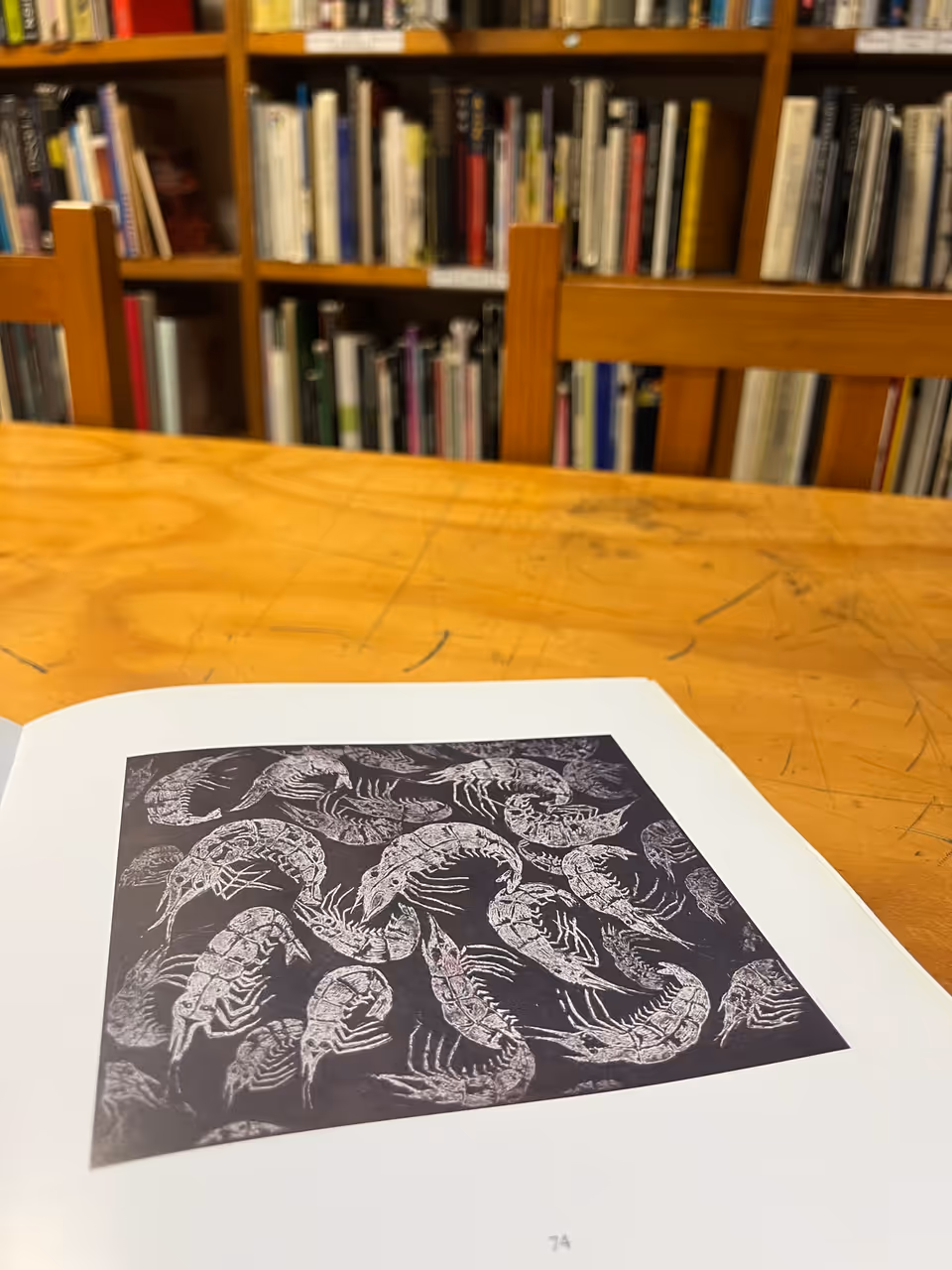 Graphic arts institute (iago) in Oaxaca city