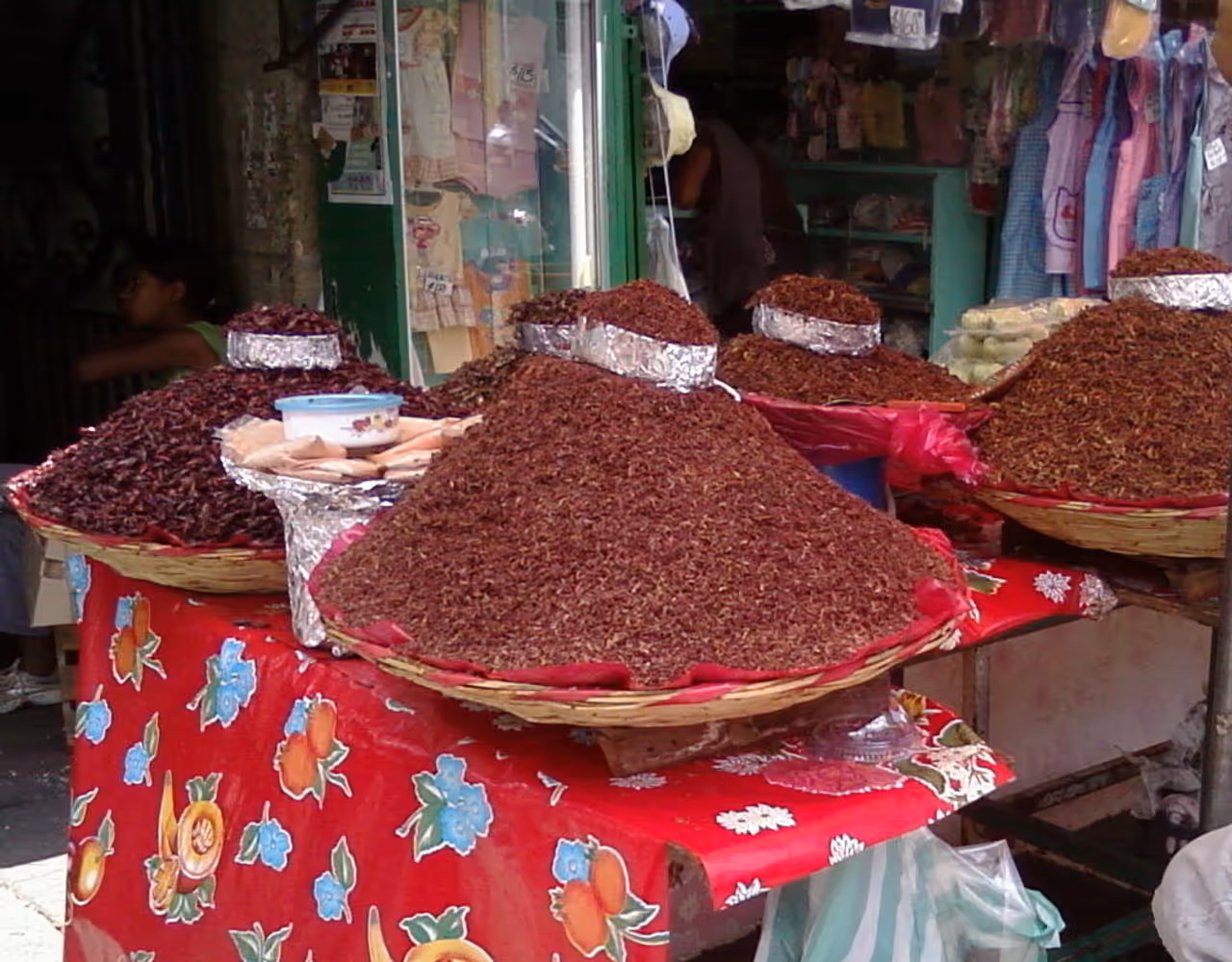 Benito juarez market market in Oaxaca city