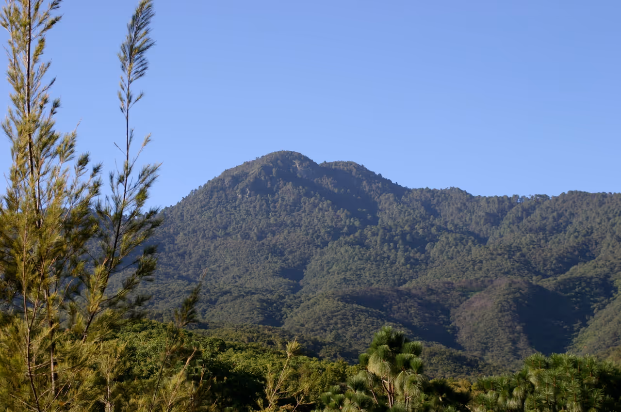 Benito juárez national park in Oaxaca city