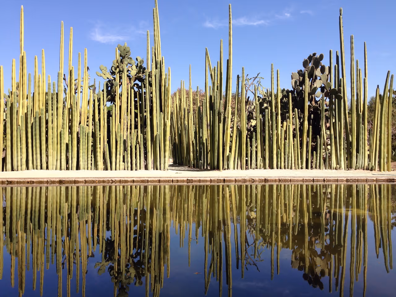 Ethnobotanical garden of oaxaca in Oaxaca city