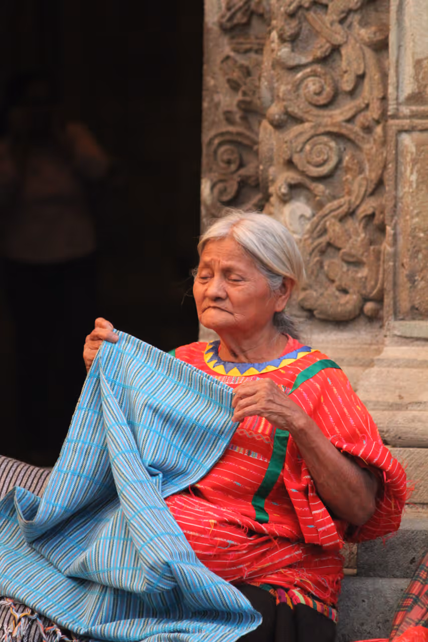 Spring highlight in Oaxaca city
