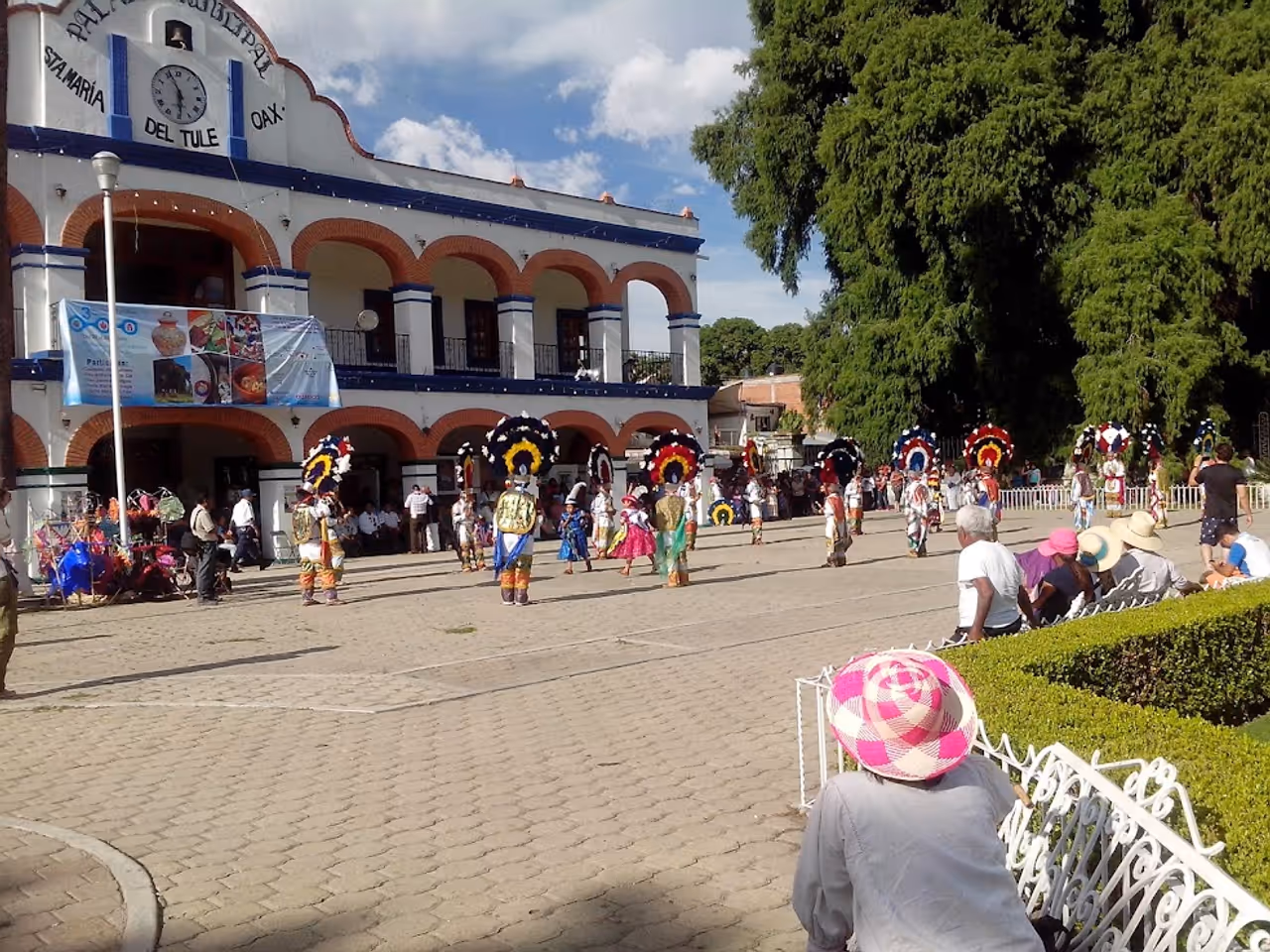 Summer highlight in Oaxaca city
