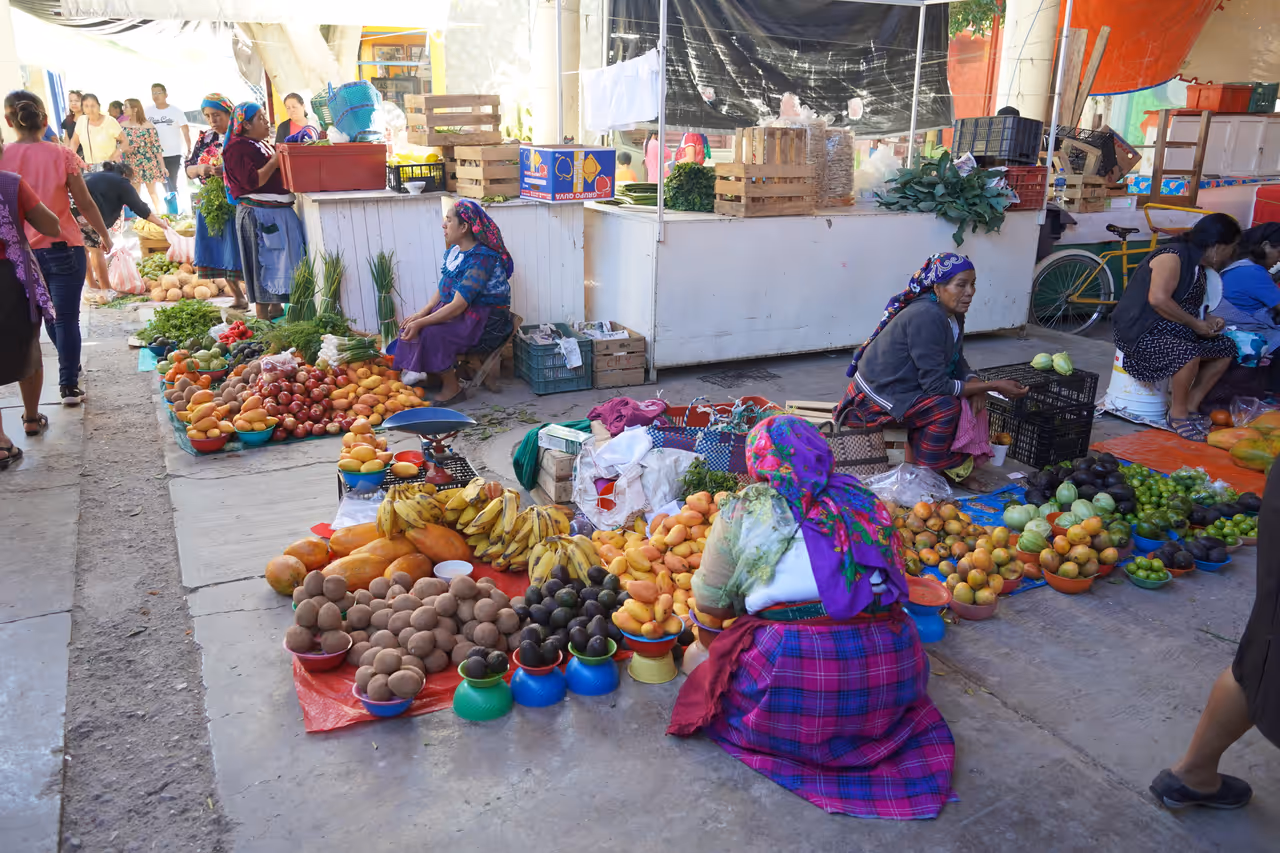 Winter highlight in Oaxaca city