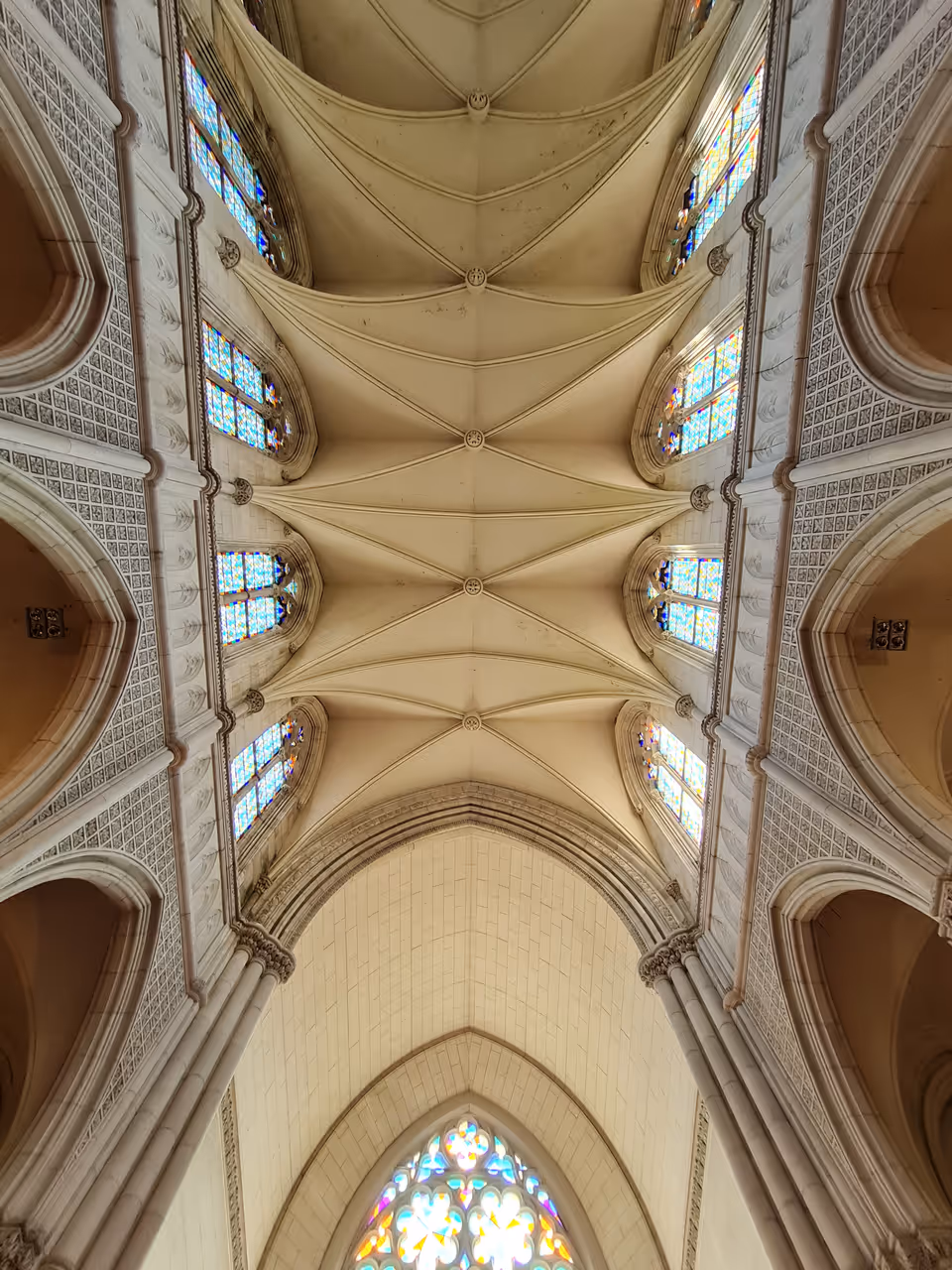 St. joseph's cathedral in Dunedin