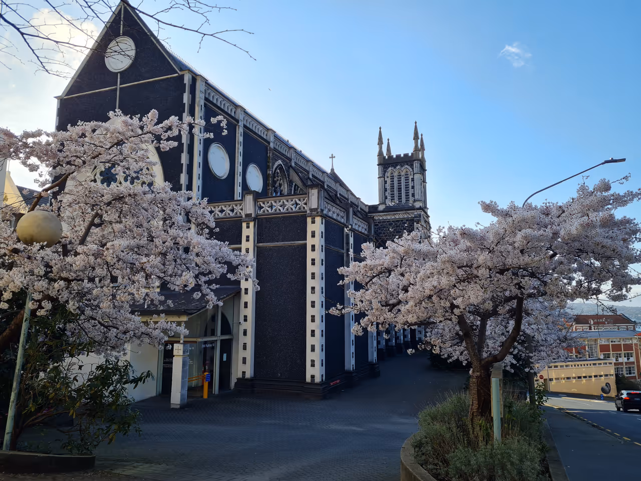 St. joseph's cathedral in Dunedin
