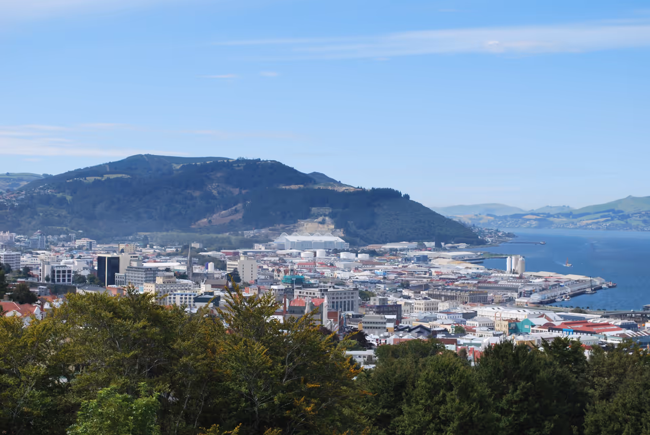 Dunedin seen from the Unity Park lookout