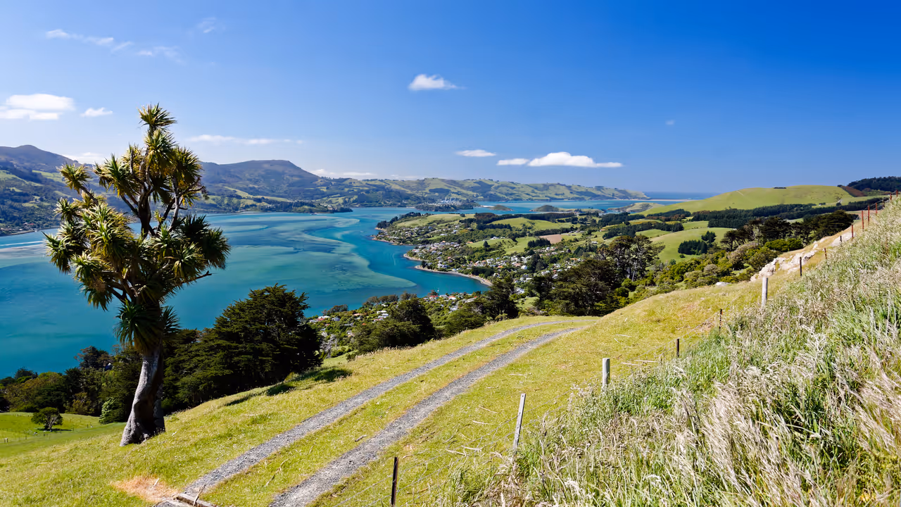 Dunedin, Otago Bay