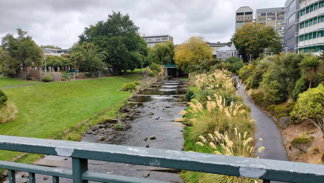 Water of Leith near Clyde Street, Dunedin