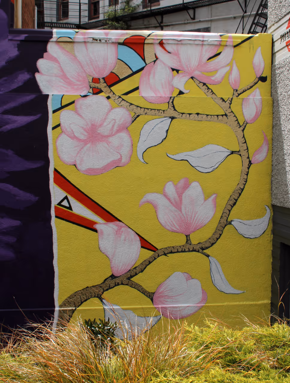 Street art walk free activity in Dunedin