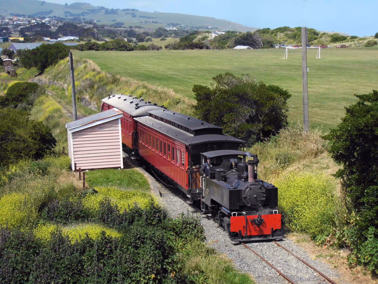 Ocean beach domain free activity in Dunedin
