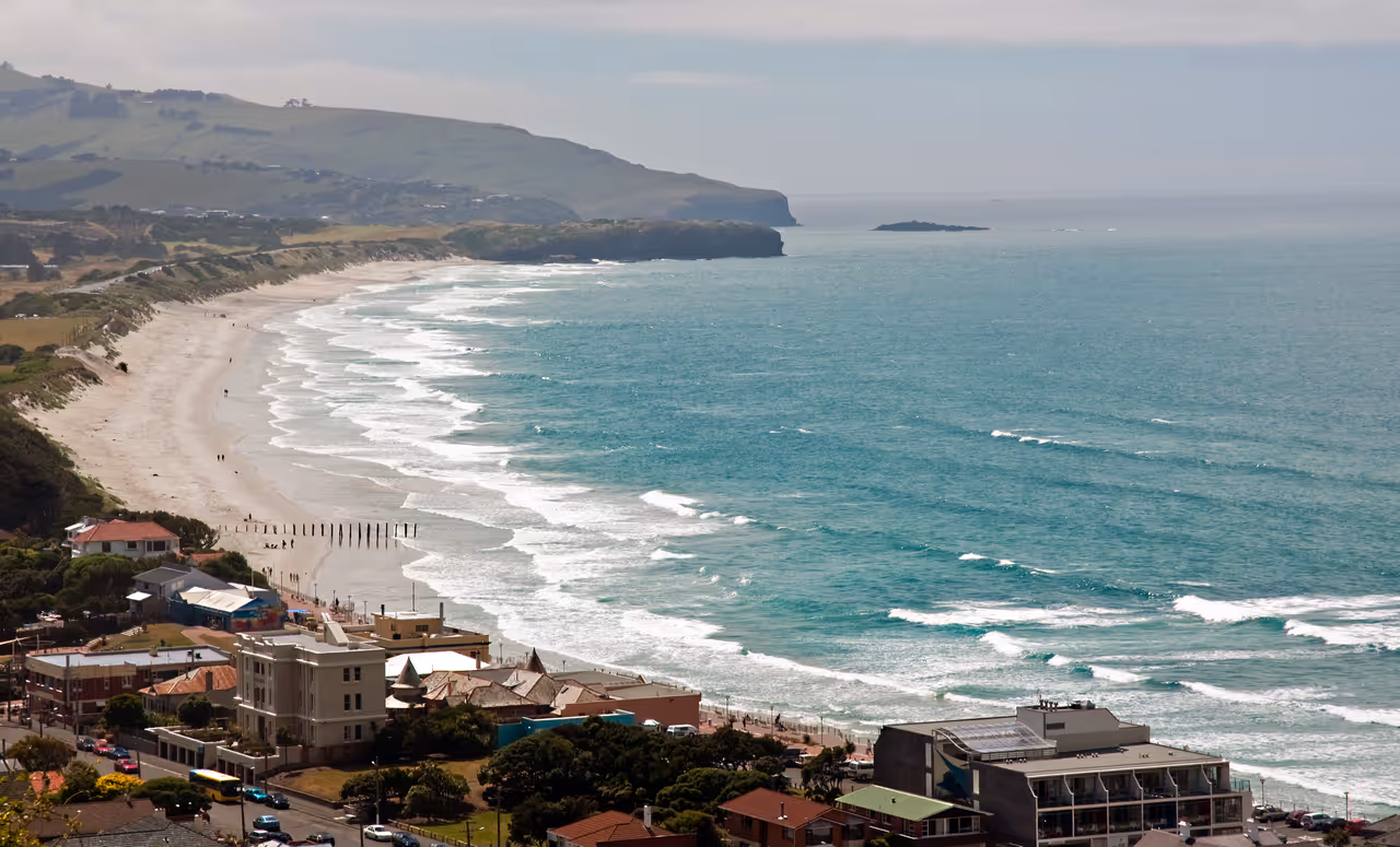 St clair esplanade free activity in Dunedin