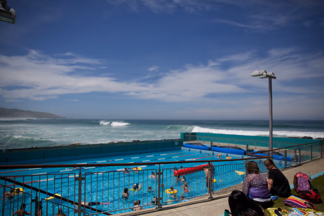 St clair esplanade free activity in Dunedin