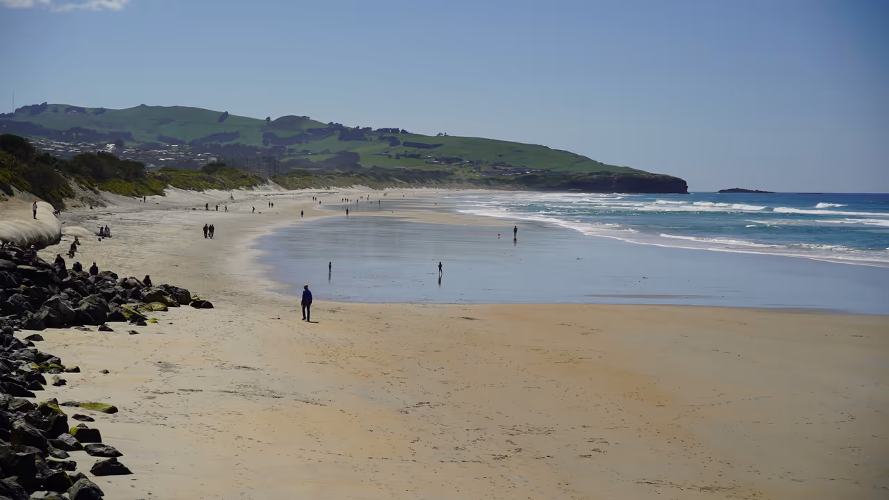 St clair esplanade free activity in Dunedin