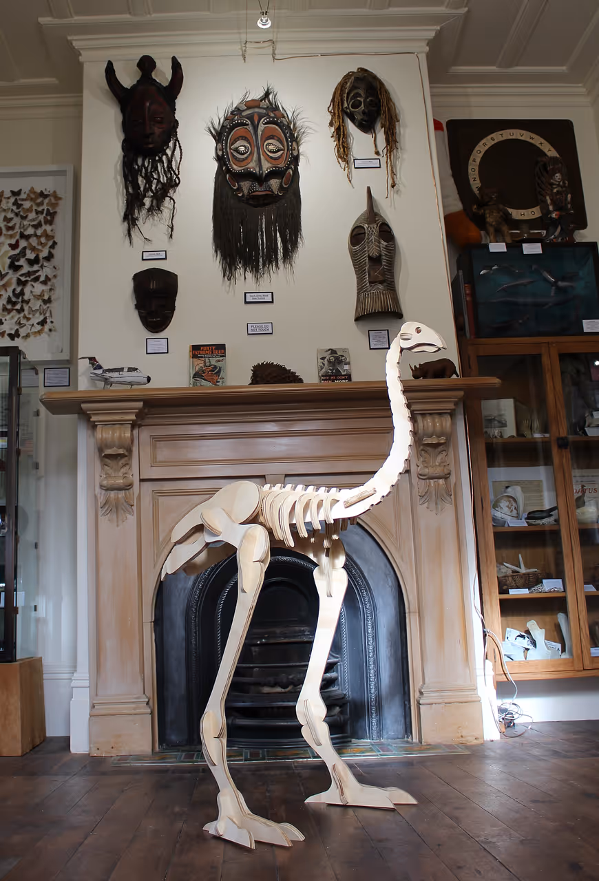 Museum of natural mystery in Dunedin